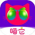 喵它app手机版 v1.5.05