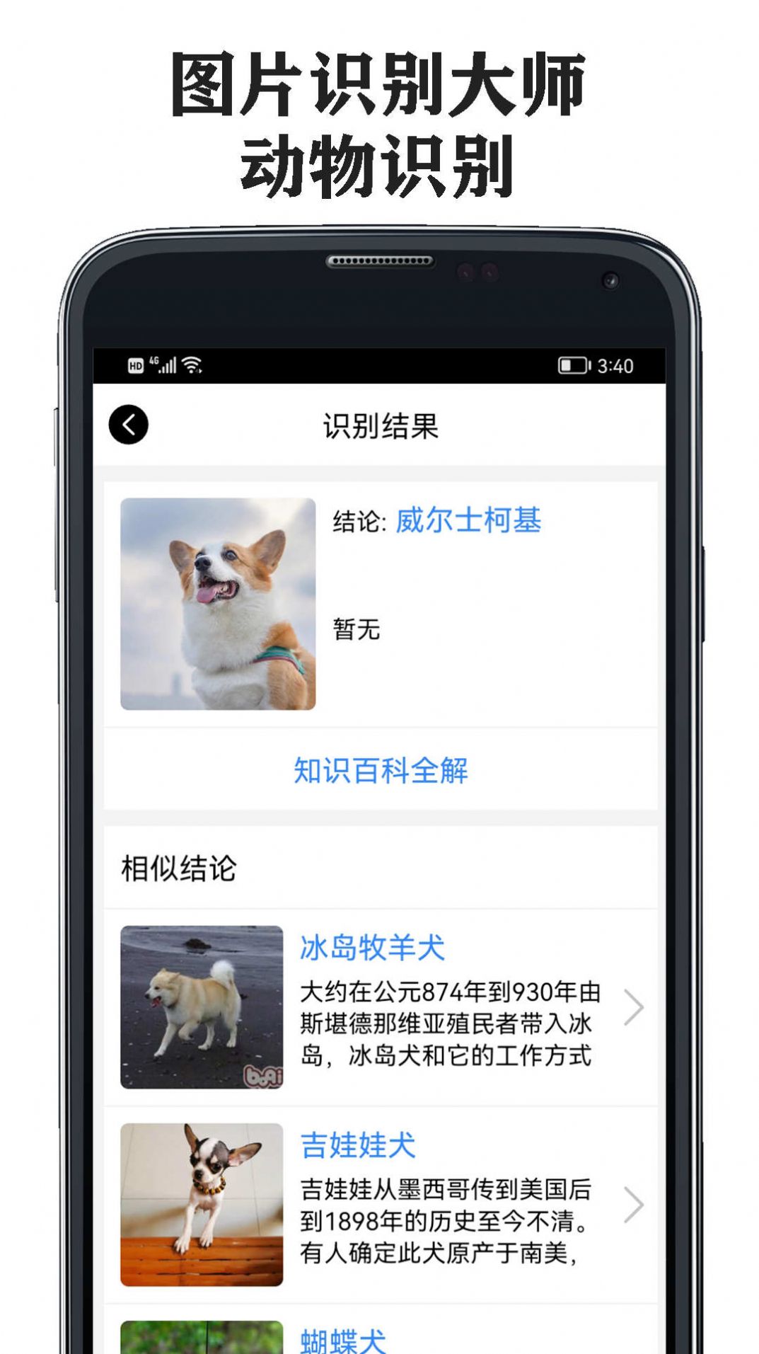 图片识别大师app官方下载 v1.0