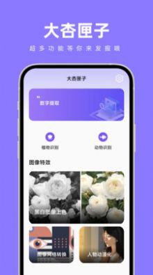 大杏匣子工具箱app软件下载 v1.0.0