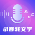 专业录音软件app手机版下载 v3.6.0203