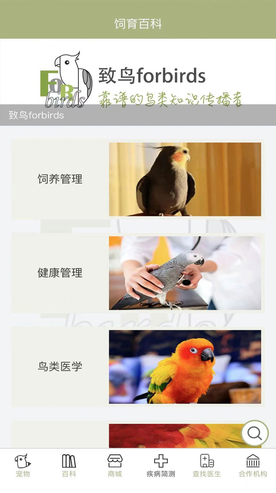 致鸟forbirds鸟类健康app安卓版 v1.1.6