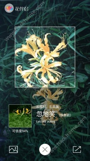 花伴侣官网app软件下载图片1