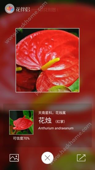 花伴侣官网app软件下载 v3.2.12