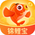 锦鲤宝app官方版下载 v1.0.3