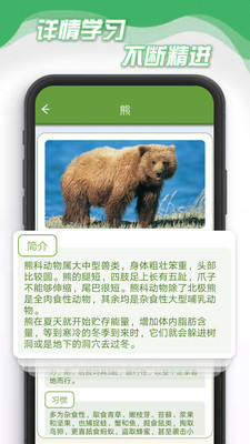 小熊削削削熊类百科app安卓版下载 v1.0
