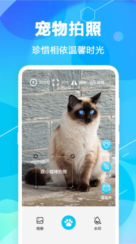 猫语翻译精灵app手机版下载 v4.1.6