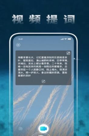 圆味视频软件app官方下载 v1.1.61