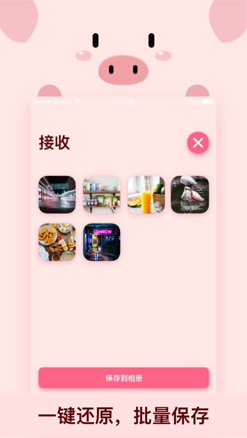 小猪快传软件app下载 v1.1.7