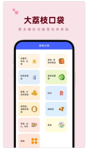 大荔枝口袋工具箱app官方下载 V1.0.0