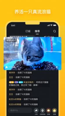 哈啰街猫流浪猫救助APP官方下载 v1.0.1