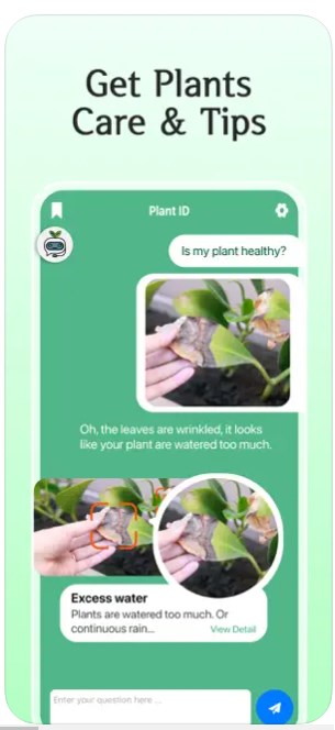 AI Plant Care Expert Assistant植物护理助手app手机版下载图片1