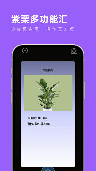 紫栗多功能汇app手机版下载 v1.0.0