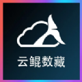 云鲲数藏h5官方app下载 v1.0.1