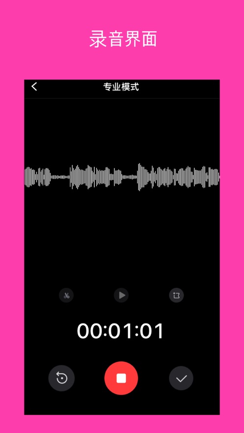 ProAudio专业录音软件app免费版下载 1.0.1