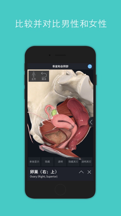 complete anatomy2024安卓中文版激活下载 v9.01