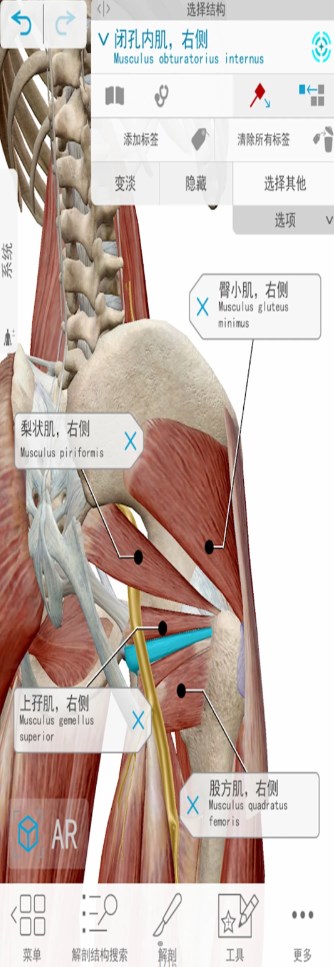 3D人体解剖app软件官方版 v6