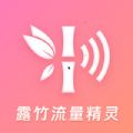 露竹流量精灵下载安装免费 v2.6.2