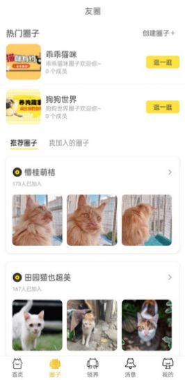 种猫家宠物社区app官方版下载图片1