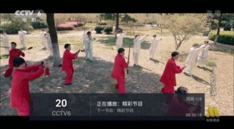 飞梭TV电视版最新版下载软件app图片2