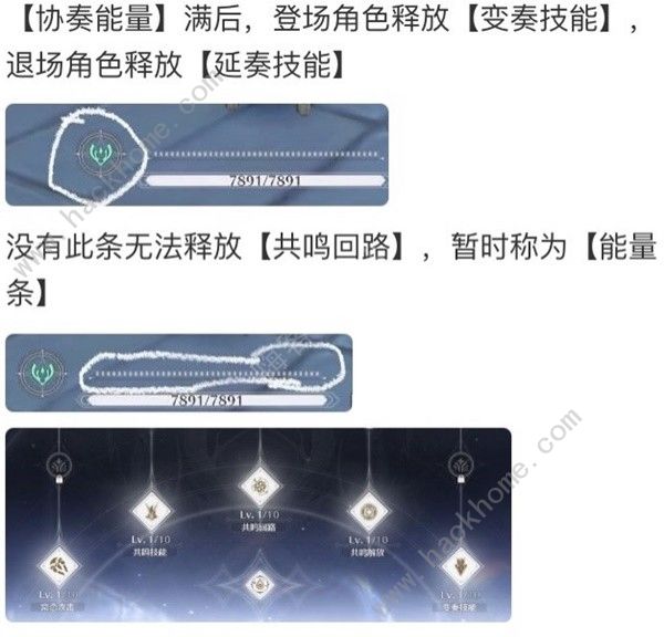 鸣潮鉴心培养攻略 鉴心技能声骸词条阵容推荐