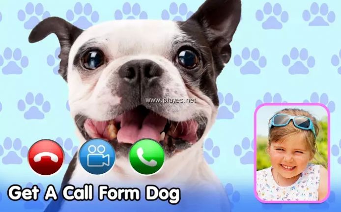 Dog Fake Call来电视频铃声app最新版 v9.0