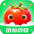 番茄喜看小说软件官方下载 v1.0.1