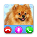 Dog Fake Call来电视频铃声app最新版 v9.0