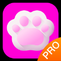 斑克猫语翻译pro软件免费版下载 v1.0.0