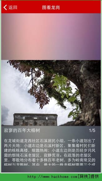 掌上龙岗官方iOS版app V1.2.0