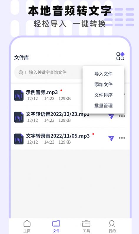 专业手机录音机下载免费app v1.0