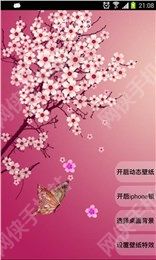 3D樱花动态壁纸锁屏安卓手机版app v3.0