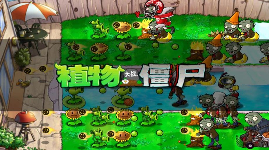 植物大战僵尸北美ZQ版下载安装最新版 v0.2.6