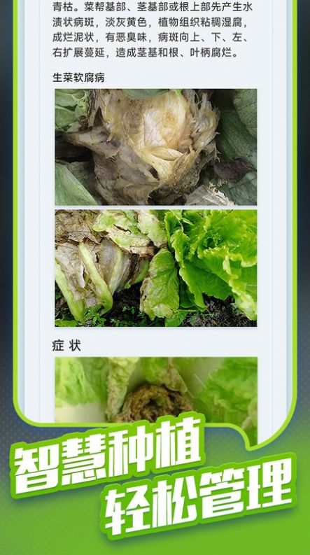 种菜专业户手机版下载 v1.0