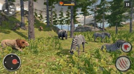 野生狮子RPG游戏安卓版（Wild Lion RPG Animal Simulator）图片2