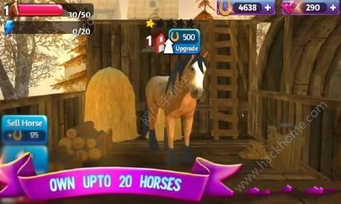 小马利亚中文安卓版（Horse Paradise） v2.00