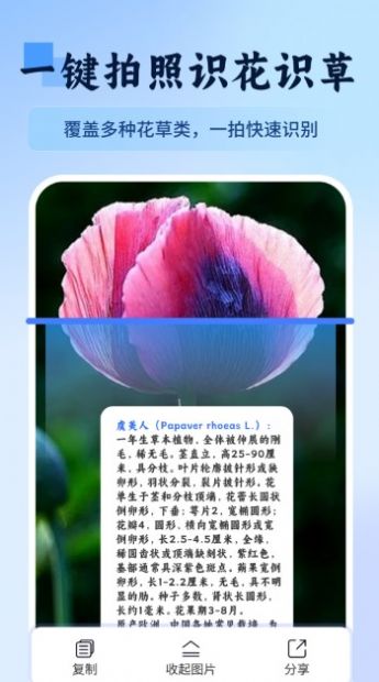 万物识图快拍易识别软件免费版下载 v1.1