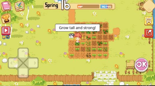 The Farm Sassy Princess游戏汉化版下载 v1.2.3