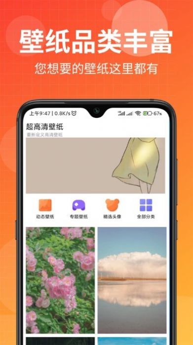 壁纸盒子纯净版下载官方app v1.0.0