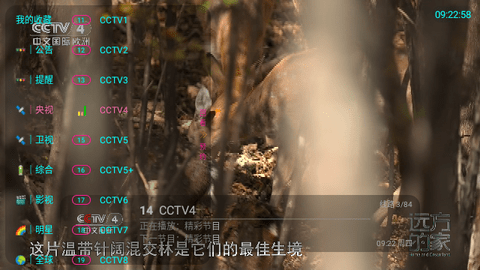 IPTV电视 6官方免费版下载 v31029.2.0