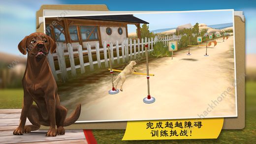 狗狗度假酒店DogHotel全狗狗最新安卓版 v1.9.3