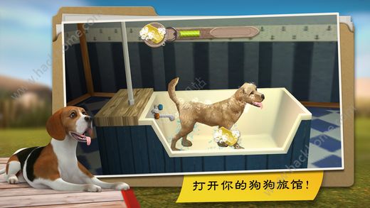 狗狗度假酒店DogHotel全狗狗最新安卓版 v1.9.3