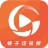 银子短视频app手机版 v1.0