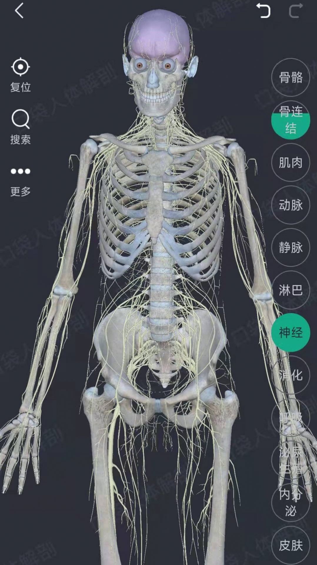 万康人体解剖官方手机版下载图片1