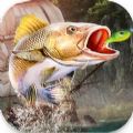 钓鱼大师真实模拟安卓版官方下载（Fishing Master Real Simulation） v1.0.6