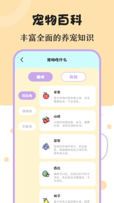 喵喵动物翻译器app官方下载 v1.0