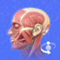 3Dbody解剖学app手机版下载 v2.1.0