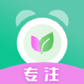 生命时间规划app安卓版 v1.1.1