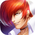 SNK FORCE Max Mode安卓游戏下载 v1.0.11