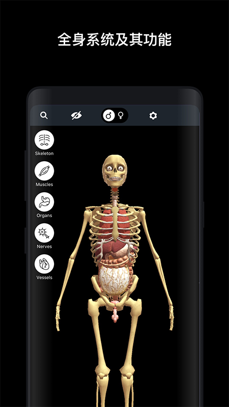 人体解剖学图谱3D app官方版 v1.0.0