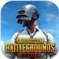 PUBG MOBILE(国际服)1.7官方正版 v3.3.0